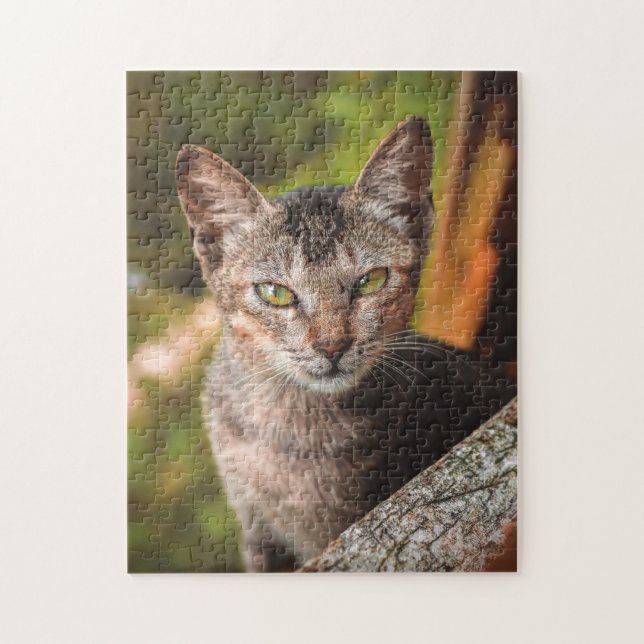 Gato Quebra-cabeça Gato Gatinho Fotografia de Gati (Vertical)