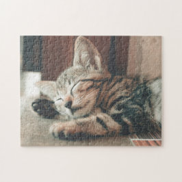 Gato Quebra-cabeça Gato Gatinho Fotografia de Gati