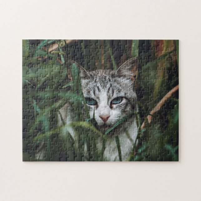 Gato Quebra-cabeça Gato Gatinho Fotografia de Gati (Horizontal)