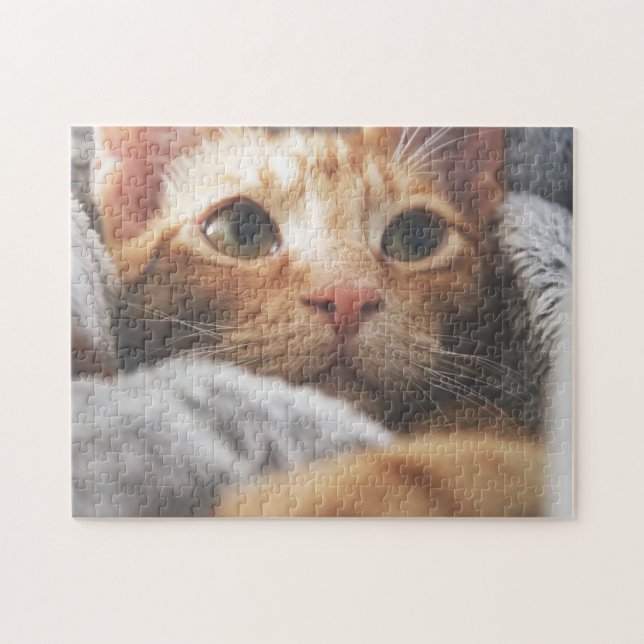 Gato Quebra-cabeça Gato Gatinho Fotografia de Gati (Horizontal)