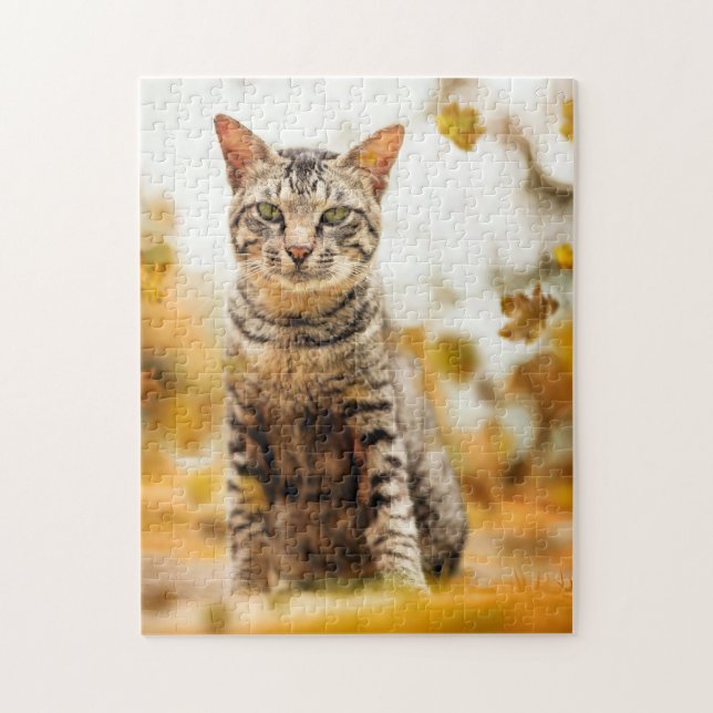 Gato Quebra-cabeça Gato Gatinho Fotografia de Gati (Vertical)