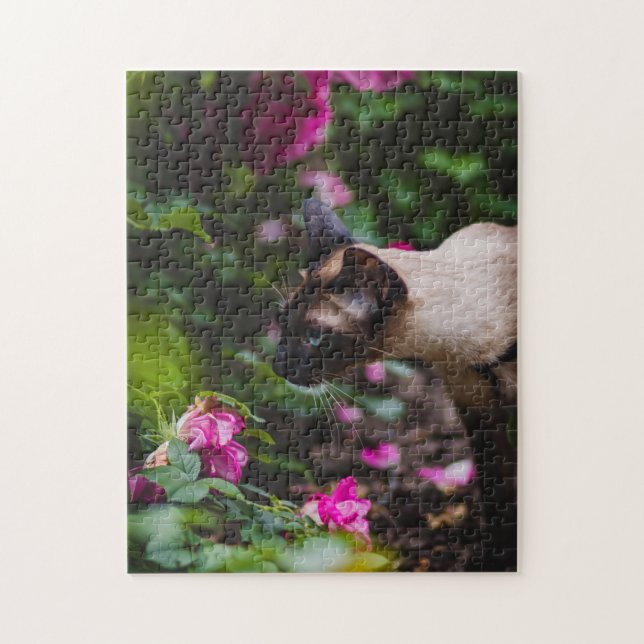 Gato Quebra-cabeça Gato Gatinho Fotografia de Gati (Vertical)