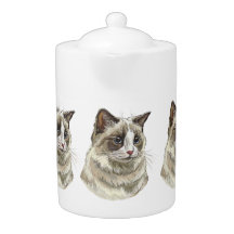 Gato Ragdoll de desenho manual