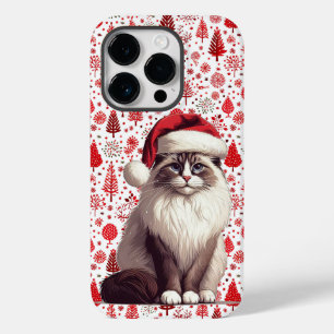 Gato Ragdoll de Natal, Papais noeis de Natal Gato
