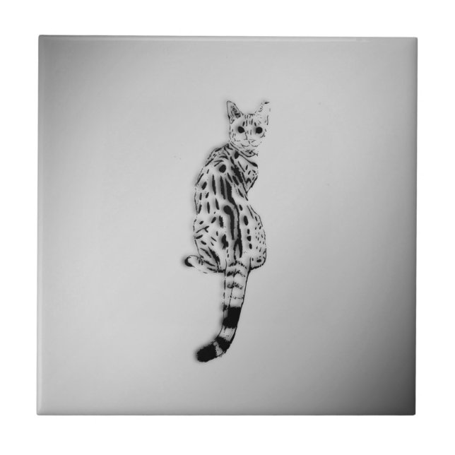 Gato Savannah Pego de Surpresa Prateado (Frente)