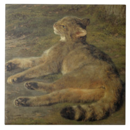 Gato selvagem (por Rosa Bonheur)
