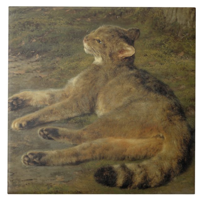 Gato selvagem (por Rosa Bonheur) (Frente)