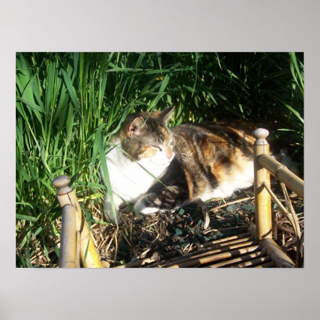 Gato sentado na Impressão de grama (Frente)