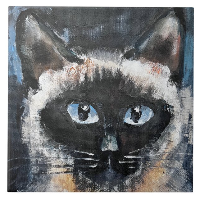 gato siamês (Frente)
