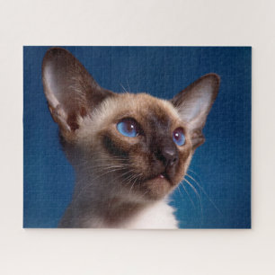 Gato Siames . Quebra-cabeça