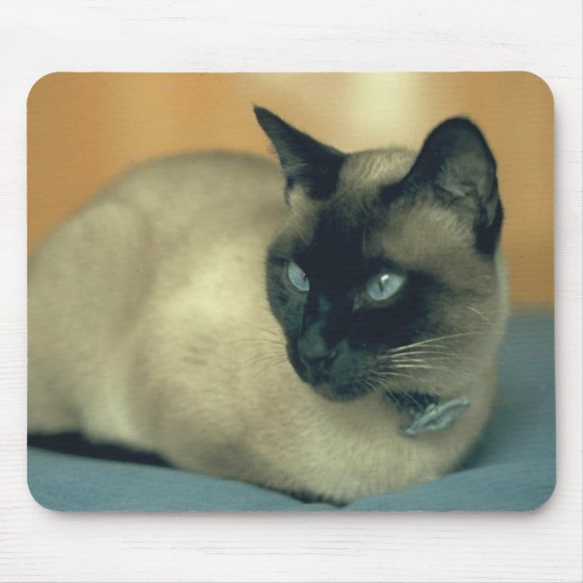 Gato Siamese Mousepad (Frente)
