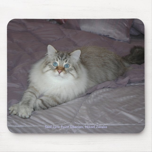 Gato Siberian Mousepad (Frente)