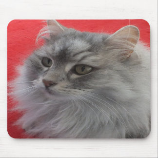 Gato Siberian Mousepad