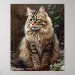 Gato Siberiano Impressão Poster