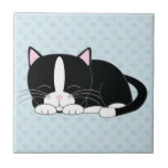 Gato sonolento do smoking<br><div class="desc">Gato preto e branco do gatinho que toma uma sesta.</div>