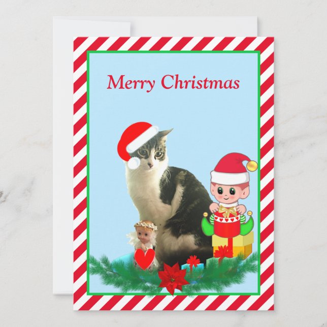 Gato Tabby de Natal, Anjo & Elfo Fofo em Vermelho (Frente)
