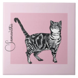 Gato Tabby Rosa Pastel Nome de Meninas Rosa