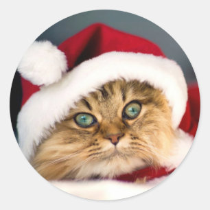 Gato Tabby Santa Adesivo Redondo Clássico
