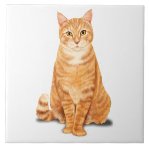 Gato Tigre Tabby Laranja Gengibre Personalizado