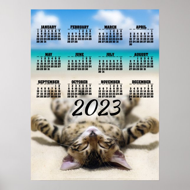 Gato Tomando Sol na Praia Calendário 2023 Poster (Frente)