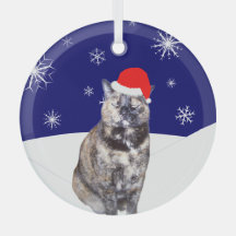 Gato Tortoisinferno em Santa Hat com Colinas de ne
