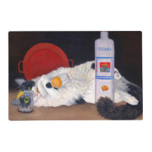 Gato Tuxedo de Cabelo Longo