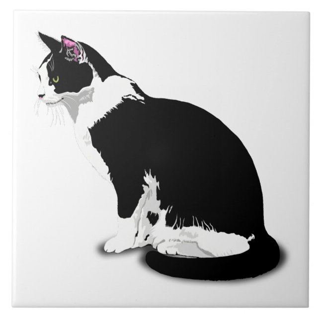 Gato Tuxedo Preto e Branco Personalizado (Frente)