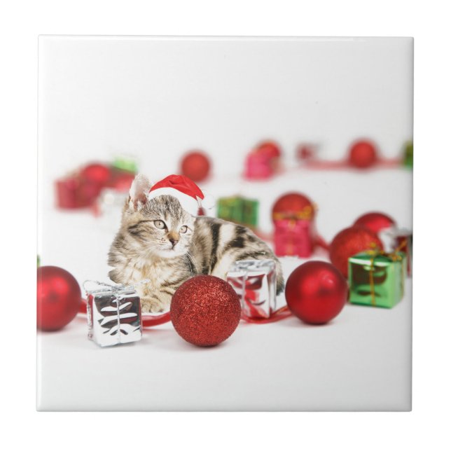 Gato usando enfeite de Natal chapéu vermelho de Pa (Frente)