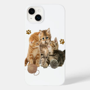 Gatos