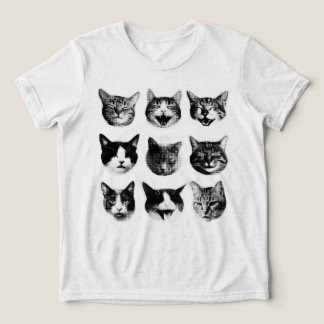 Gatos