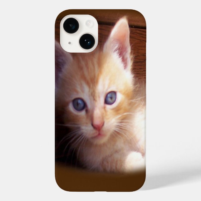 Gatos (Verso)