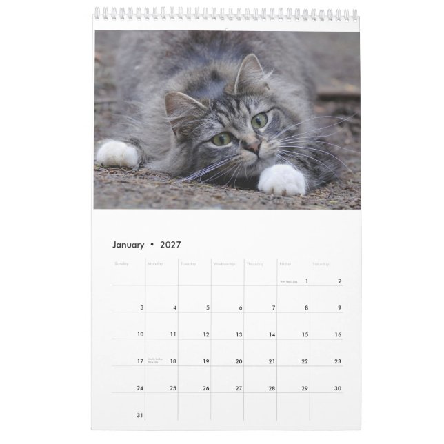 Gatos 2014 - Um calendário para amantes do gato (Jan 2027)