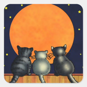 Gatos a observar os adesivos da lua