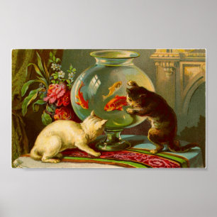 Gatos Adoram Poster vintage De Peixe