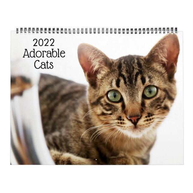 Gatos Adoráveis Calendário 2022 (Capa)