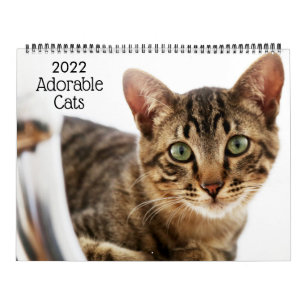 Gatos Adoráveis Calendário 2022