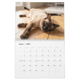 Gatos Adormecidos Aconchegantes | Calendário de Fo