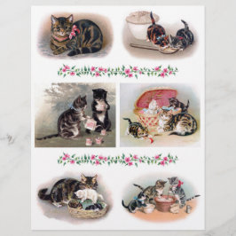 Gatos Antigos Helena Maguire Cortes Delicados com