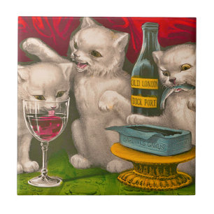 Gatos bebendo e comendo peixe sardinha
