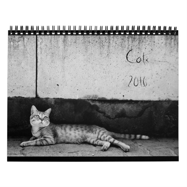 Gatos - calendário 2016 (Capa)