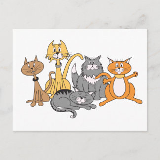 Gatos! Cartão Postal