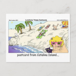 Gatos Da Ilha Catalina Cartões De Presente Engraça