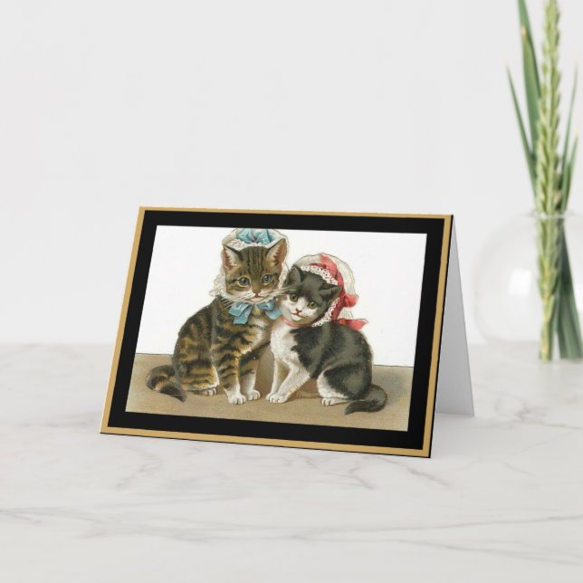 Gatos de Cartão Antigo Com Chapéus (Frente)