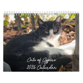Gatos de Chipre 2026 B pelo Calendário PaphosLife