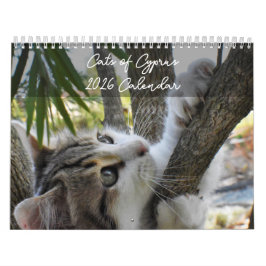 Gatos de Chipre por calendário PaphosLife