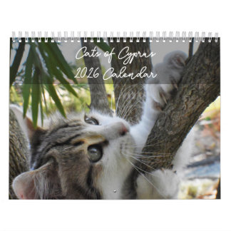 Gatos de Chipre por calendário PaphosLife