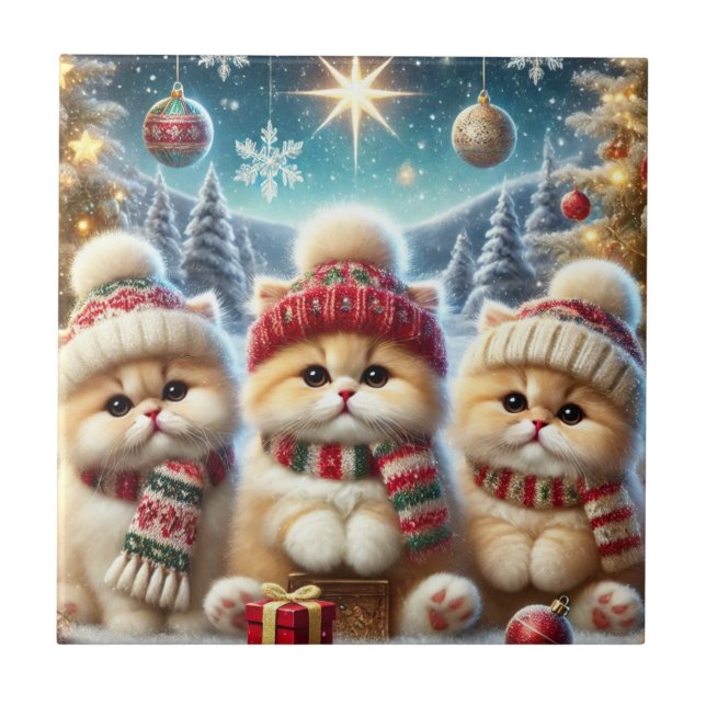 Gatos de Gatinhos no Decor de Natal e Neve (Frente)