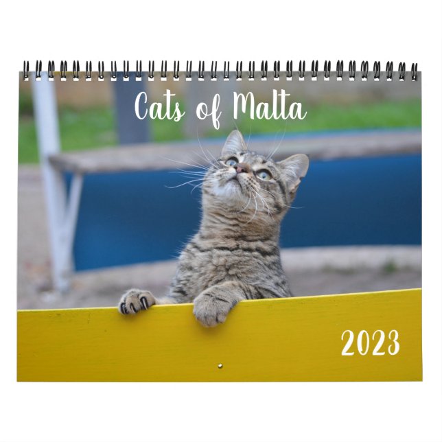 Gatos de Malta - Calendário 2023 (Capa)