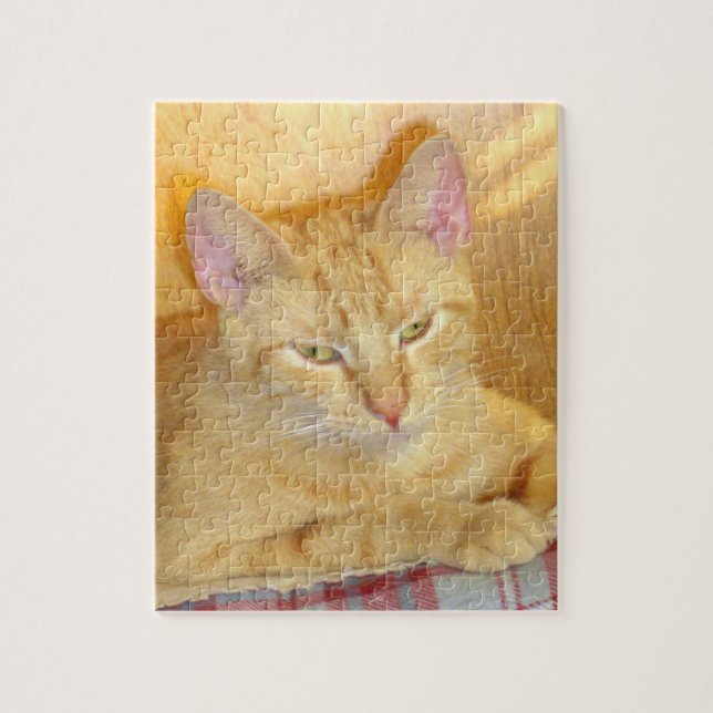 Gatos De Meia 15 Quebra-cabeça (Vertical)