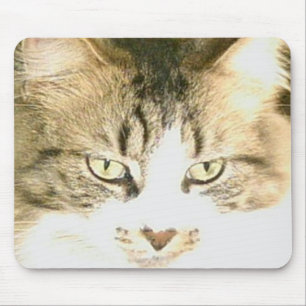 Gatos De Meow 14 Mousepad